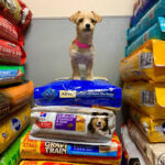 Pantry Food & Pet Supplies